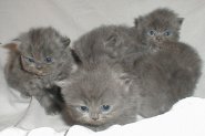 Malvin, Marlin, Mary, Molly, Milka