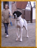 Bonita vom Rabenwald