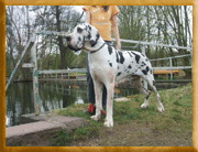 Isadora von W&auml;chterberg