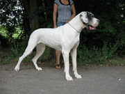 Karina von Schlesien