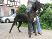 Usina-Kira von Schlesien