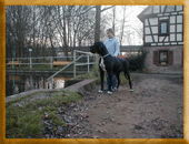 Xillia von Schlesien 