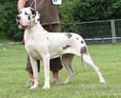 Yumana von Schlesien 