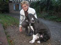 Preise und Leistungen