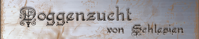 Zur&uuml;ck zur Startseite